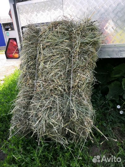 Сено, солома-2023 г укос