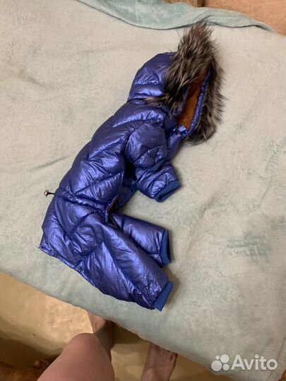 Одежда доя собаки