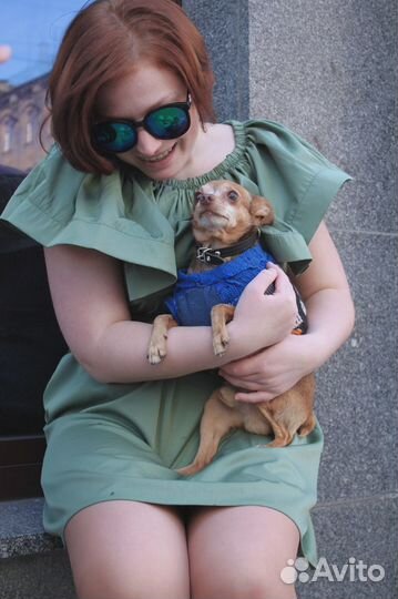 Фотосессия бесплатно