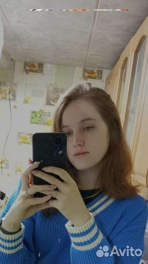 Веб разработчик