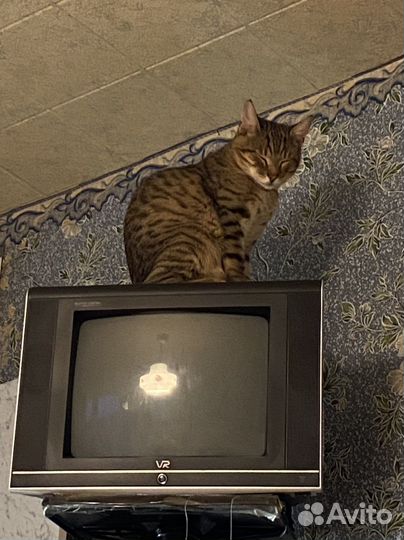 Телевизор VR