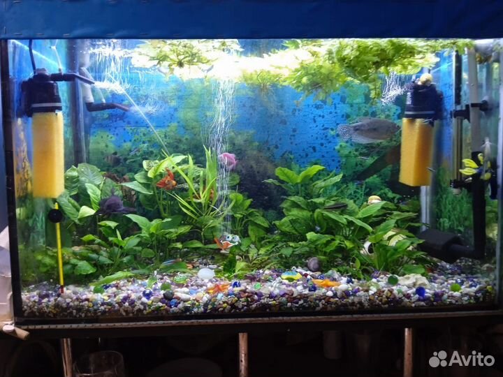 Аквариум 160 л полностью с фильтрами рыбки