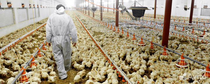 Разнорабочий