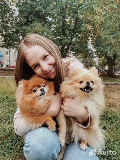 Гостиница для животных Nano-Dog