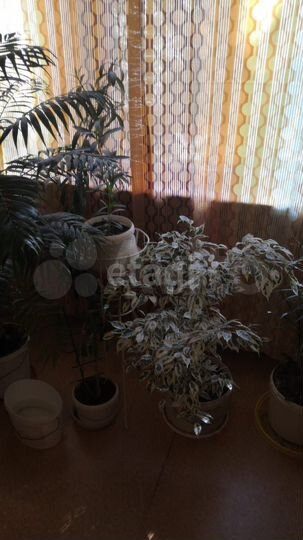 4-к. квартира, 69,2 м², 3/9 эт.