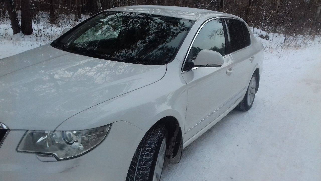 Skoda Superb: фото владельца