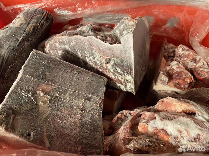 Натуральный корм для собак