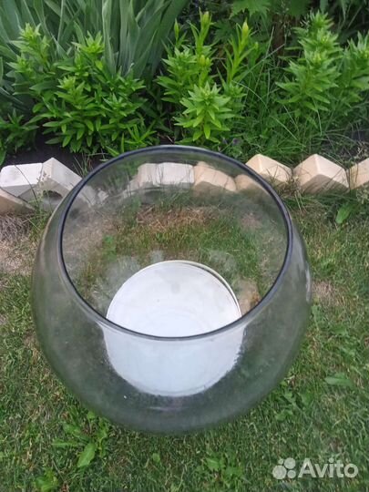 Аквариум/Флорариум