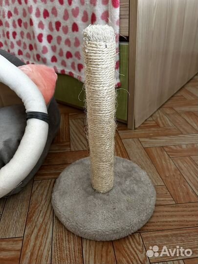 Лежанка и когтеточка для кота