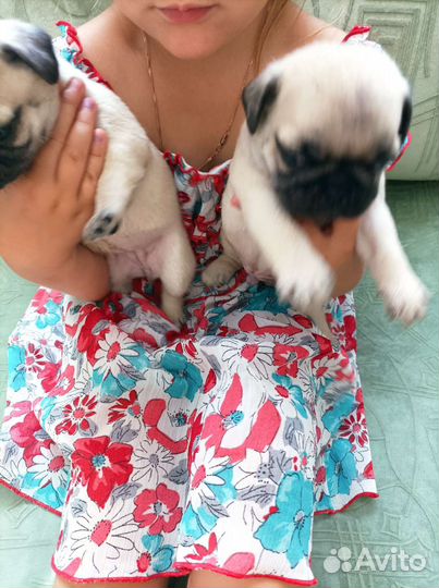 Подарок для любимой