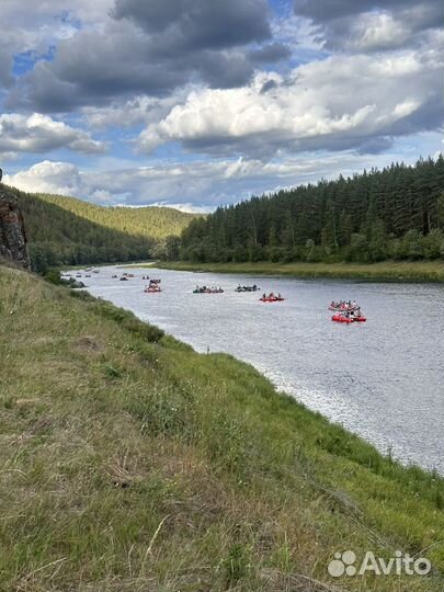 Пассажирские перевозки/Аренда автобуса с водителем