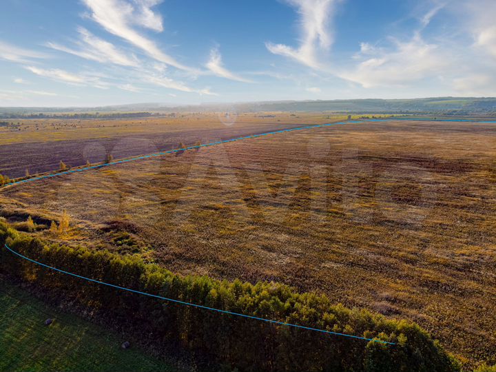 Участок 96,32 га (СНТ, ДНП)