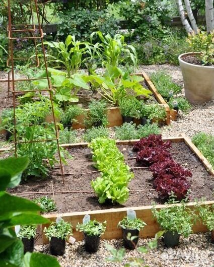 Грядки деревянные для огорода