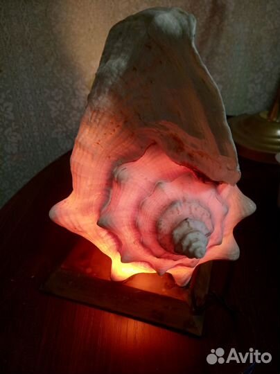 Ракушка -светильник