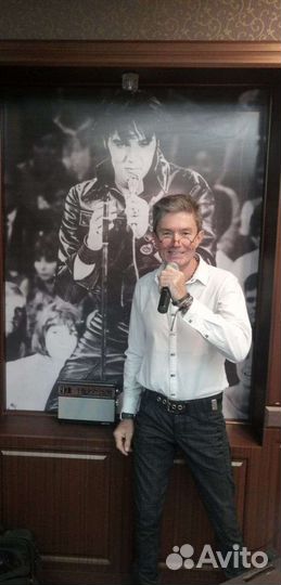 Профессиональный баянист