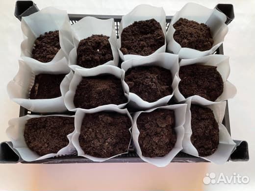 Пакеты для рассады 0,9 литра