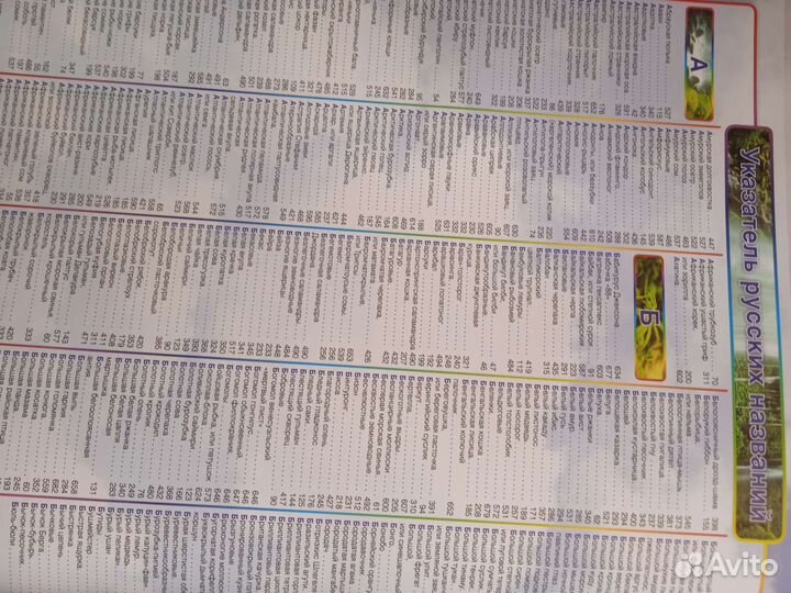 Энциклопедия о животных