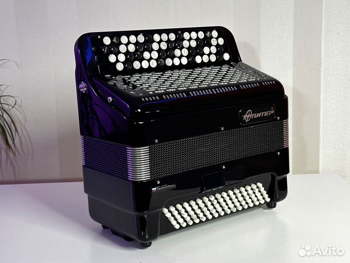 Баян Юпитер 2Д (новый)