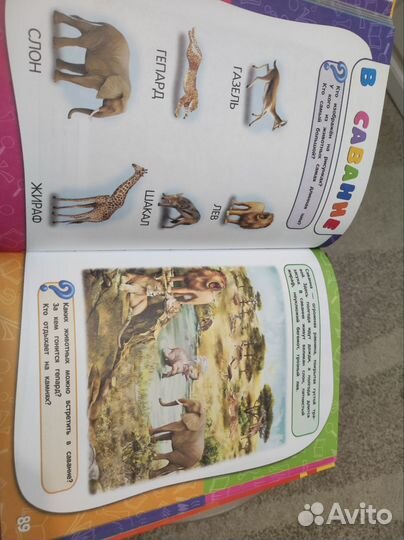 Годовой курс занятий для детей