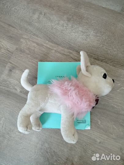 Chi Chi love чихуахуа