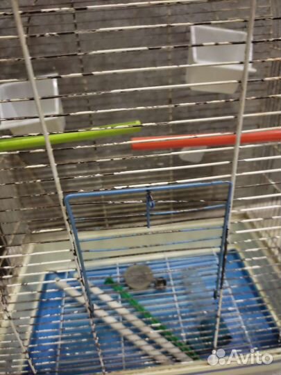 Клетка для попугая