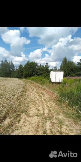 Пчелоповильон Ярик-32 (Рут)