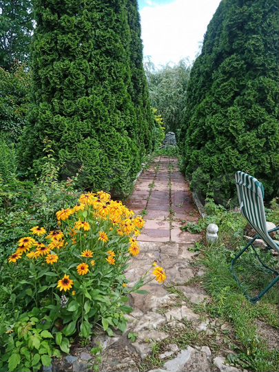 Дом 250 м² на участке 20 сот.