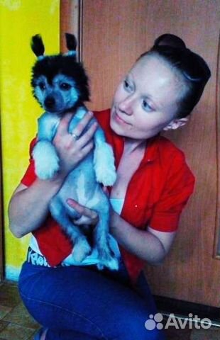 Инструктор по вязке собак