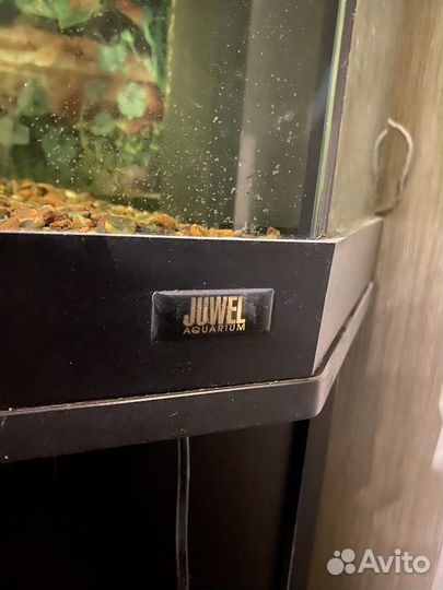 Аквариум с тумбой 240 литров