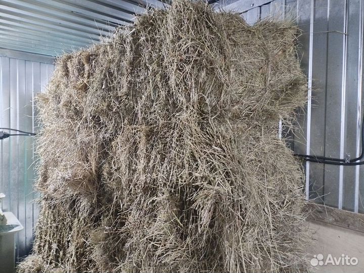 Сено солома в тюках