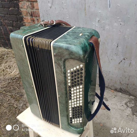 Баян россия