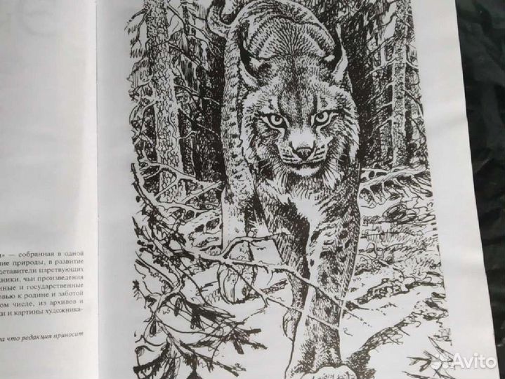 Элитная охотничья энциклопедия