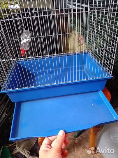 Клетка для птиц