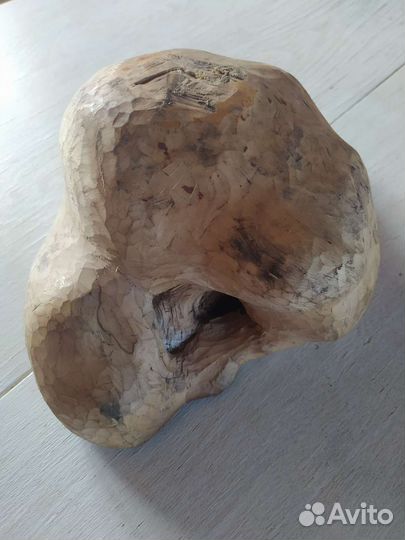 Кап сувель береза