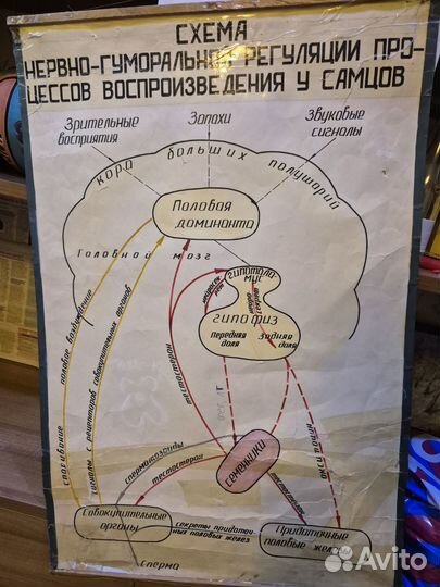 Советские медицинские плакаты