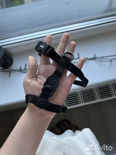 Шлейка zee.dog S