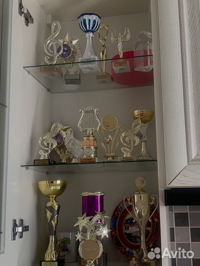 Педагог по музыке