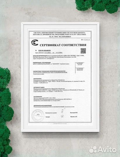 Панели из стабилизированного мха