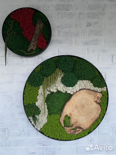 Панели из стабилизированного мха