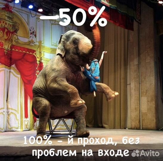 Билеты в Уголок Дедушки Дурова от Сотрудника