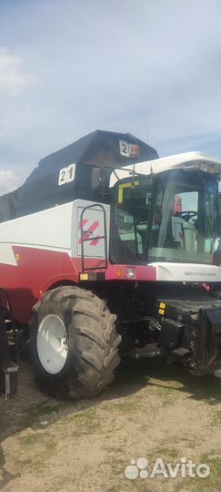 Комбайн Ростсельмаш Acros 595 Plus, 2018