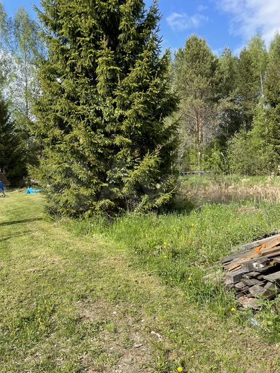 Дом 60 м² на участке 24 сот.