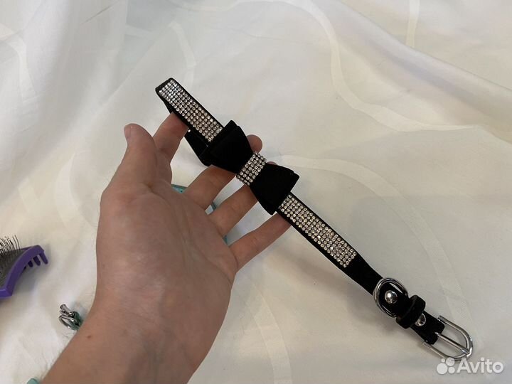 Ошейник для маленькой средней собаки