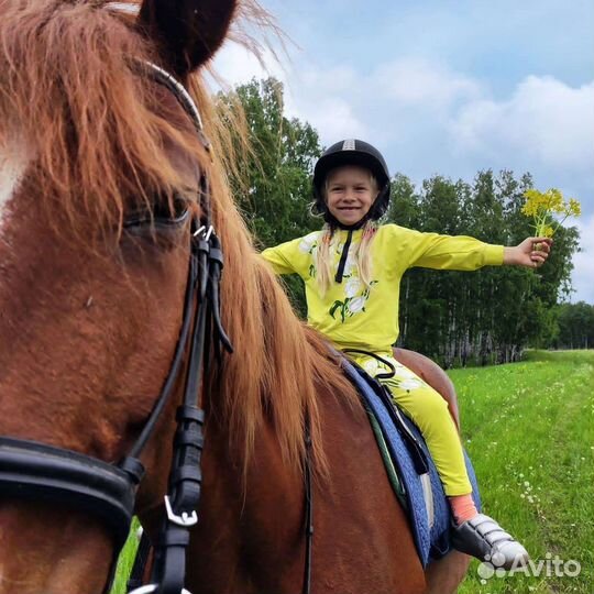Верховая езда. Иппотерапия. Прогулки