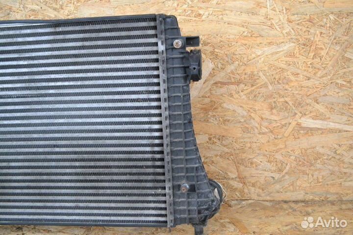 Интеркулер Volkswagen Passat B6 седан BLS