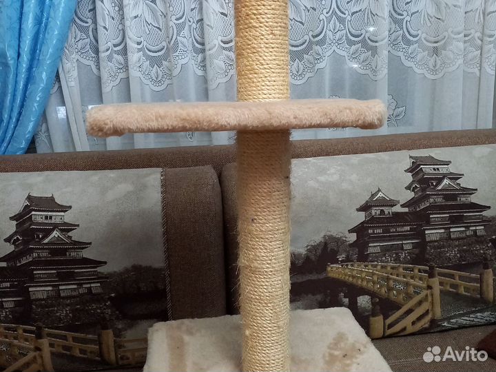 Когтеточка