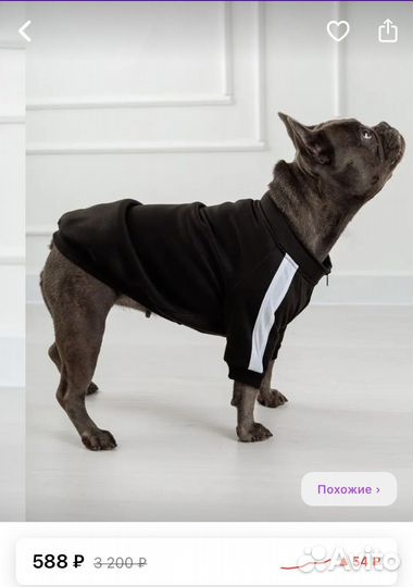 Худи для собак