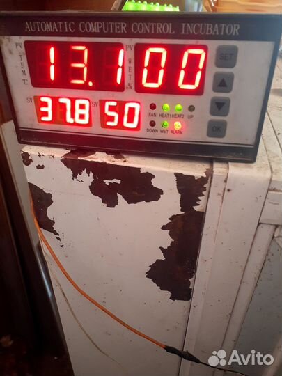 Инкубатор