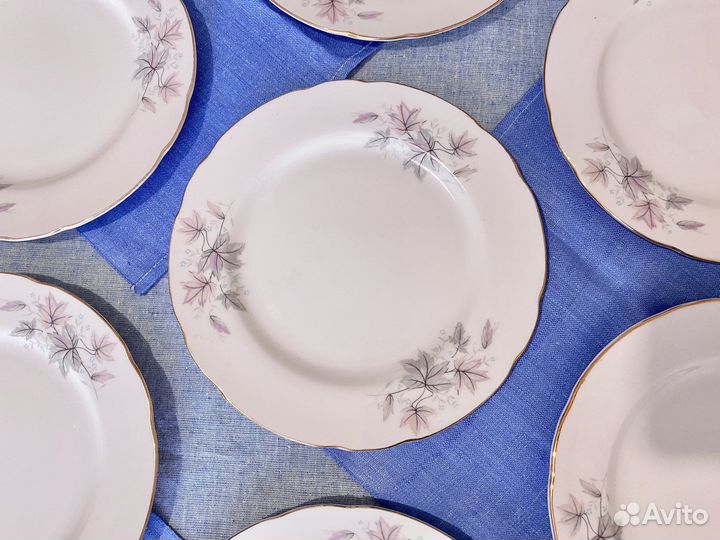 Набор тарелок (10 шт.)