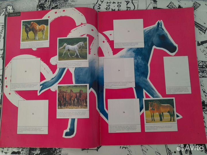 Альбом для наклеек С любовью к животным